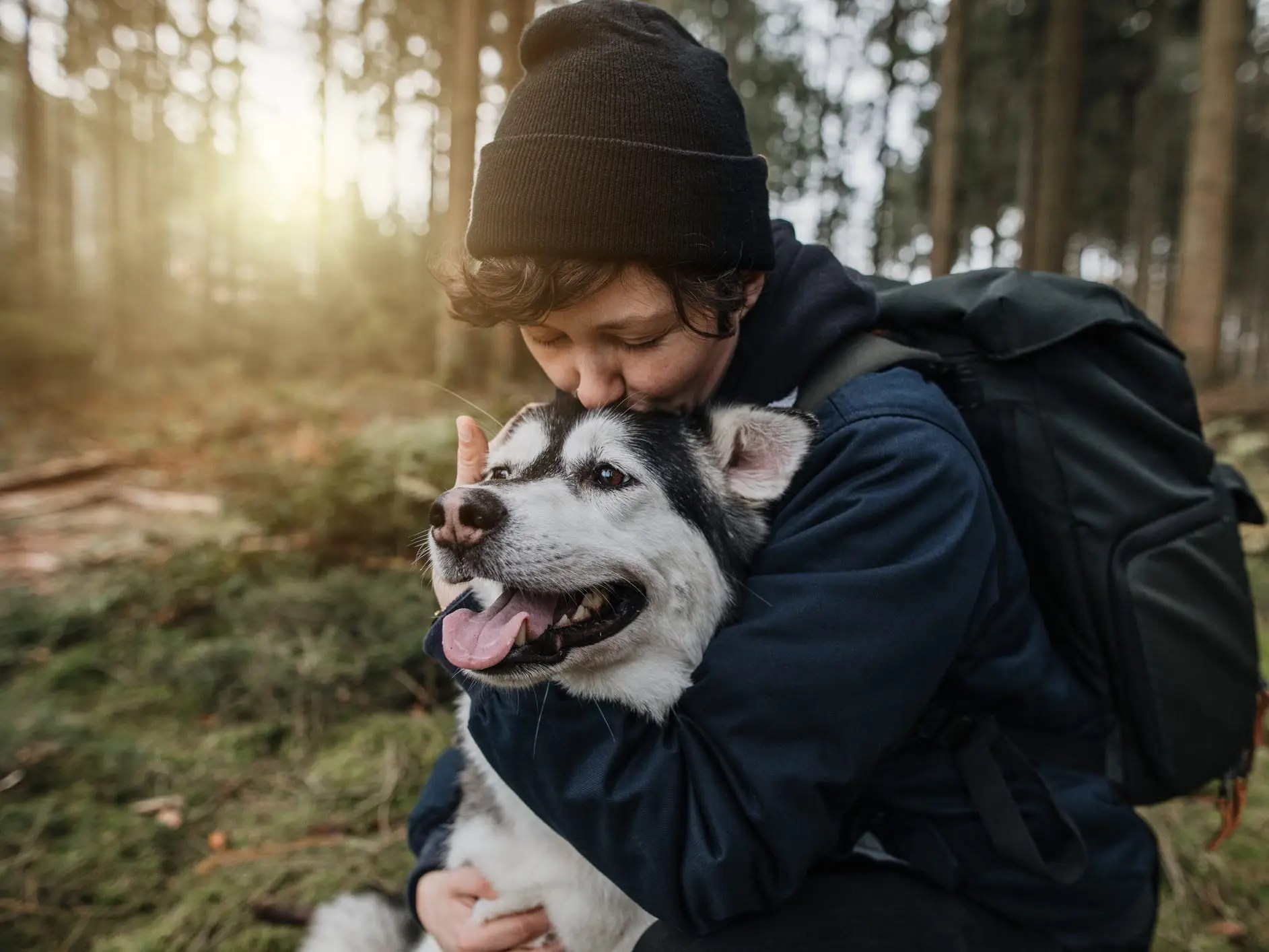 How Much Do Allergy Shots Cost For Dogs