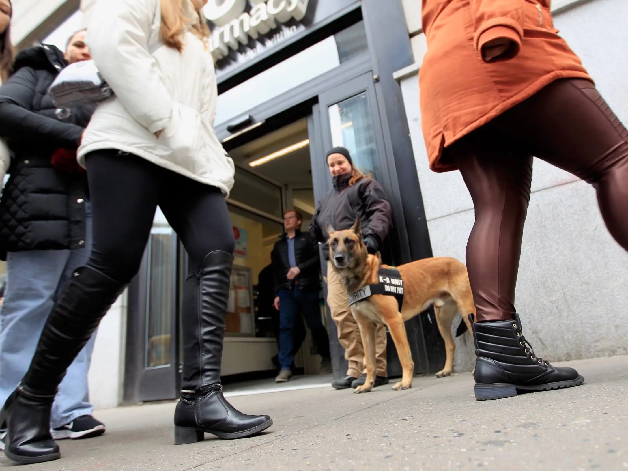 Dogs Are Being Used Stop Shoplifting in a CVS in New York City