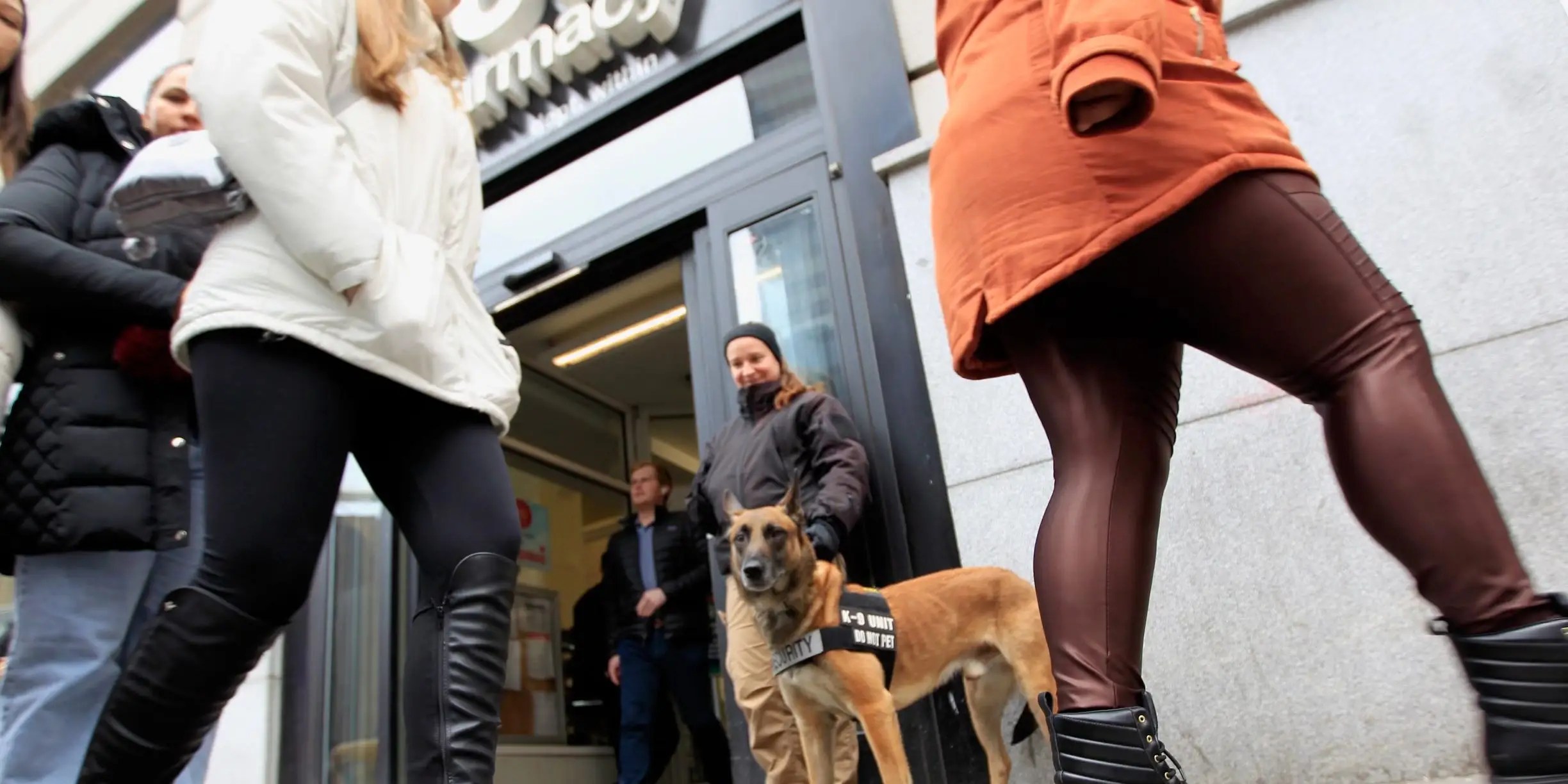 Dogs Are Being Used Stop Shoplifting in a CVS in New York City