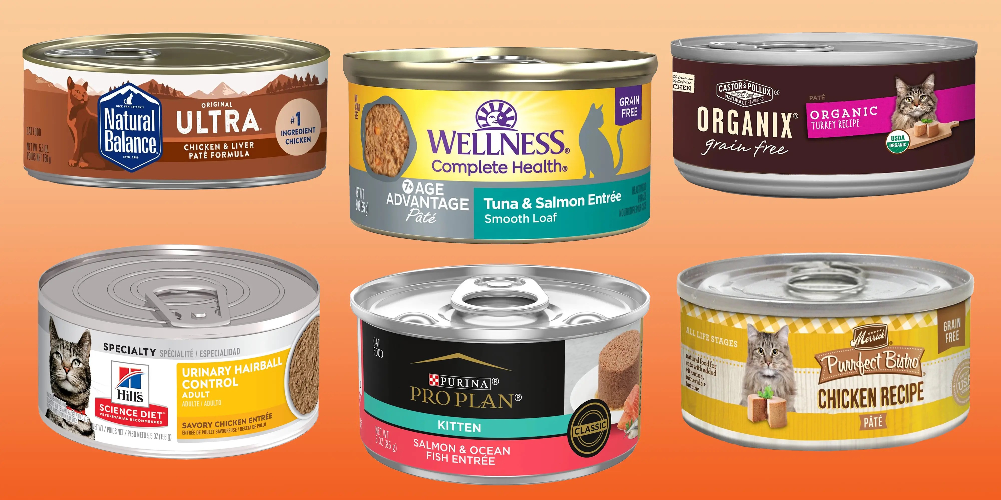 Top 13 best quality affordable wet cat food in 2023 Chuyên Trang Chia