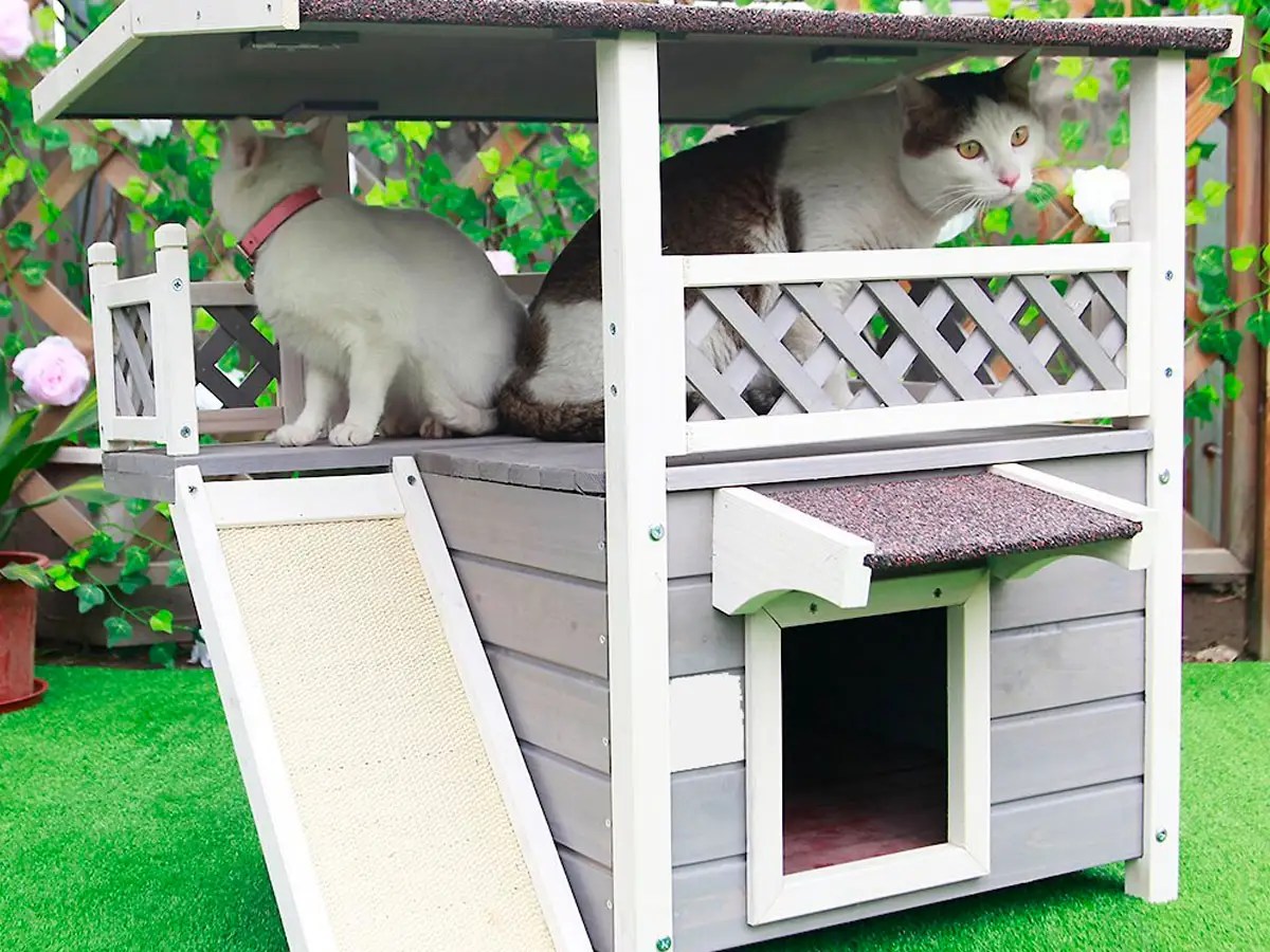 The 9 best outdoor cat houses of 2023 Dikla Akrat