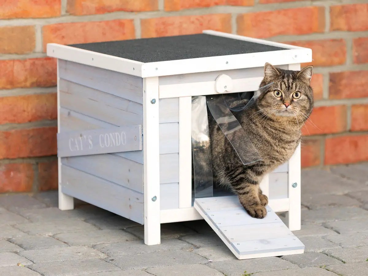 The 9 best outdoor cat houses of 2023 Dikla Akrat