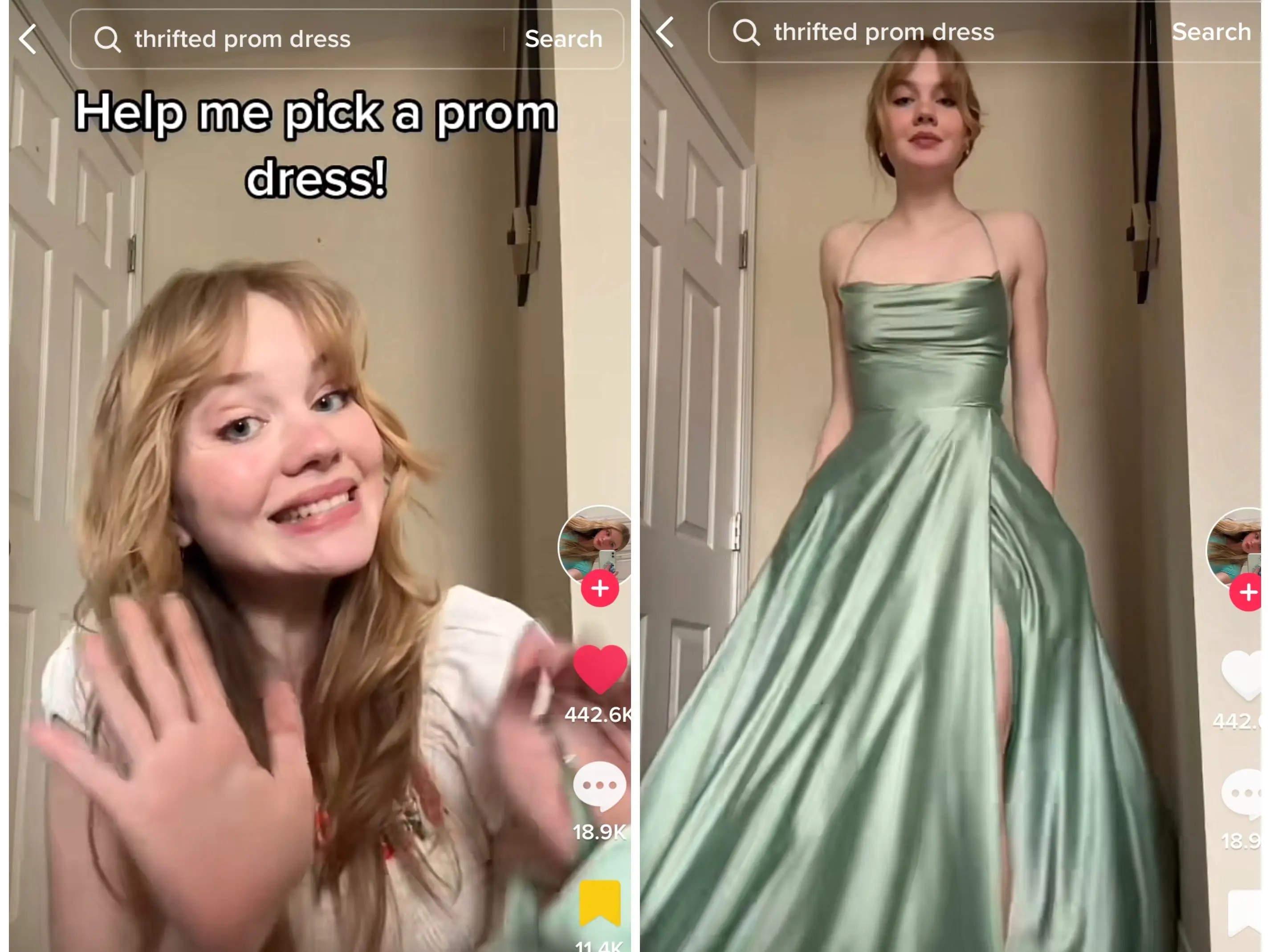 A High Schooler Asked TikTok to Help Her Pick Out Her Prom Dress