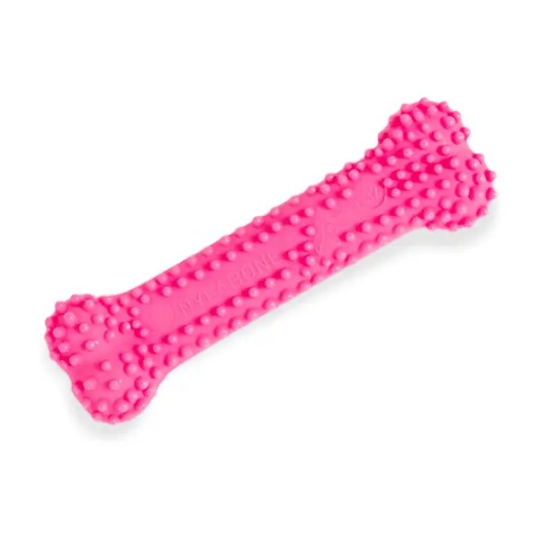 The 13 Best Puppy Teething Toys of 2024