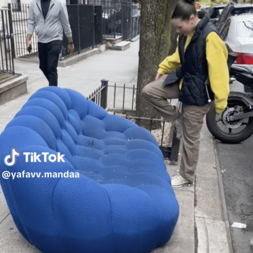 Viral TikTok of Curbside Couch Sparks Online Discussion of Pests