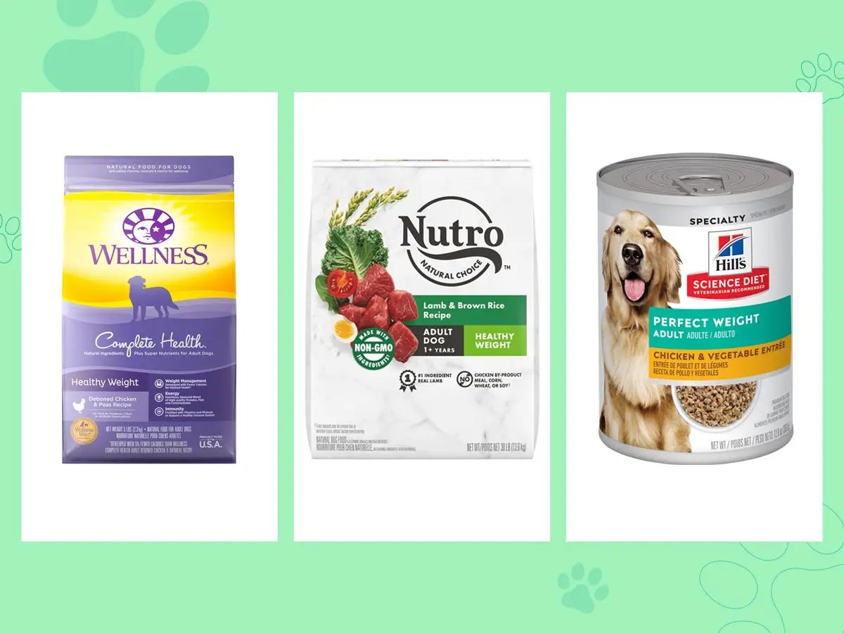 The best senior dog food of 2023, with advice from veterinarians