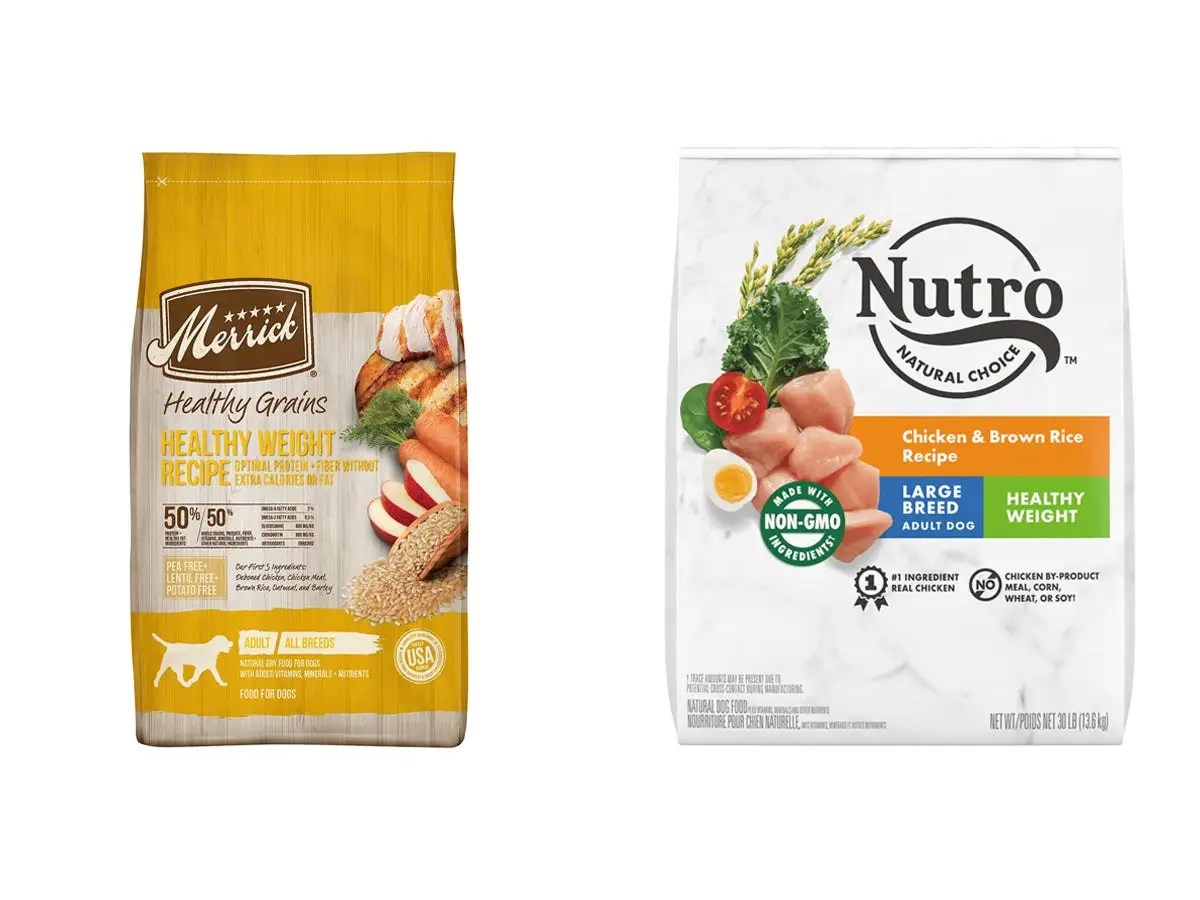 The best dog food for weight loss of 2023, with tips from veterinarians Dikla Akrat