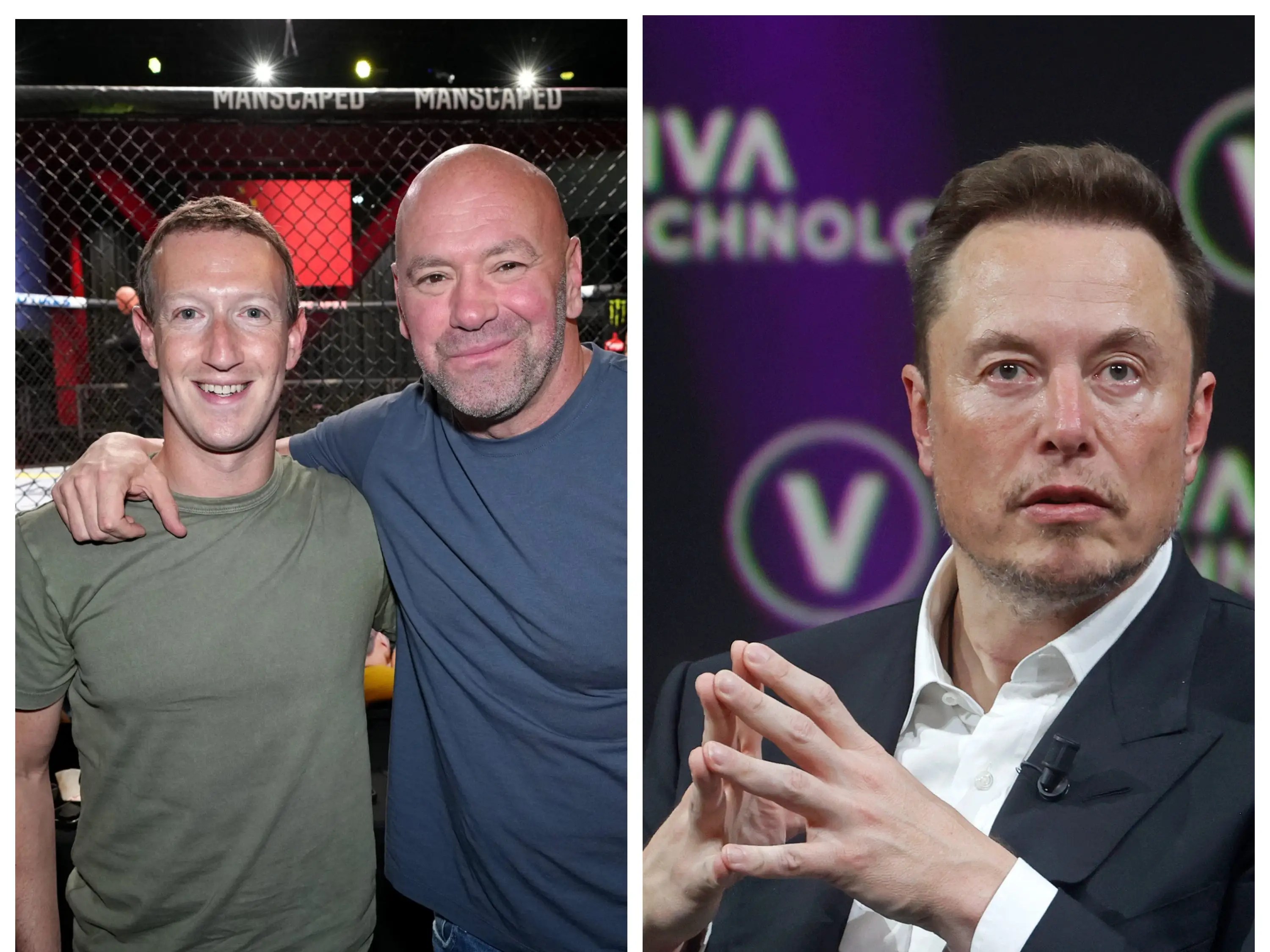 Musk and Zuckerberg Are 'Dead Serious' About Fight UFC's Dana White