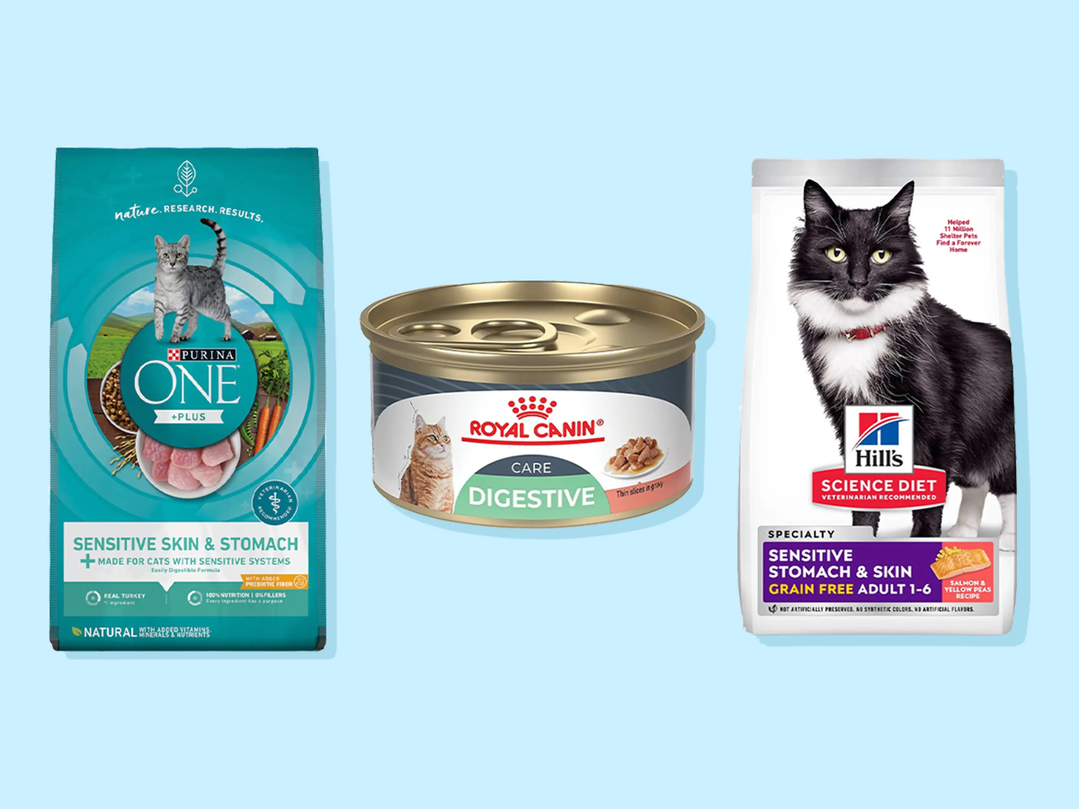 The best cat food of 2023 with advice from veterinarians Dikla Akrat