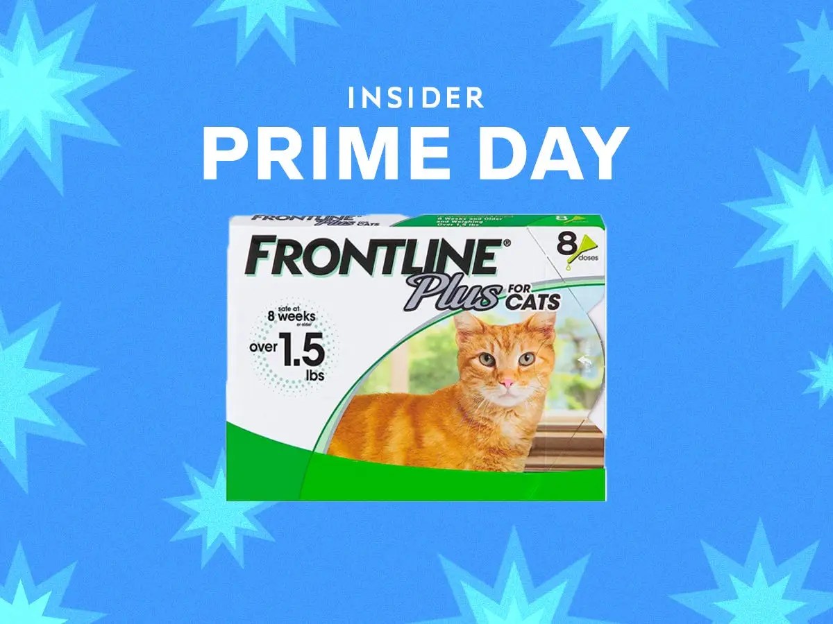 Is Frontline Dangerous For Dogs