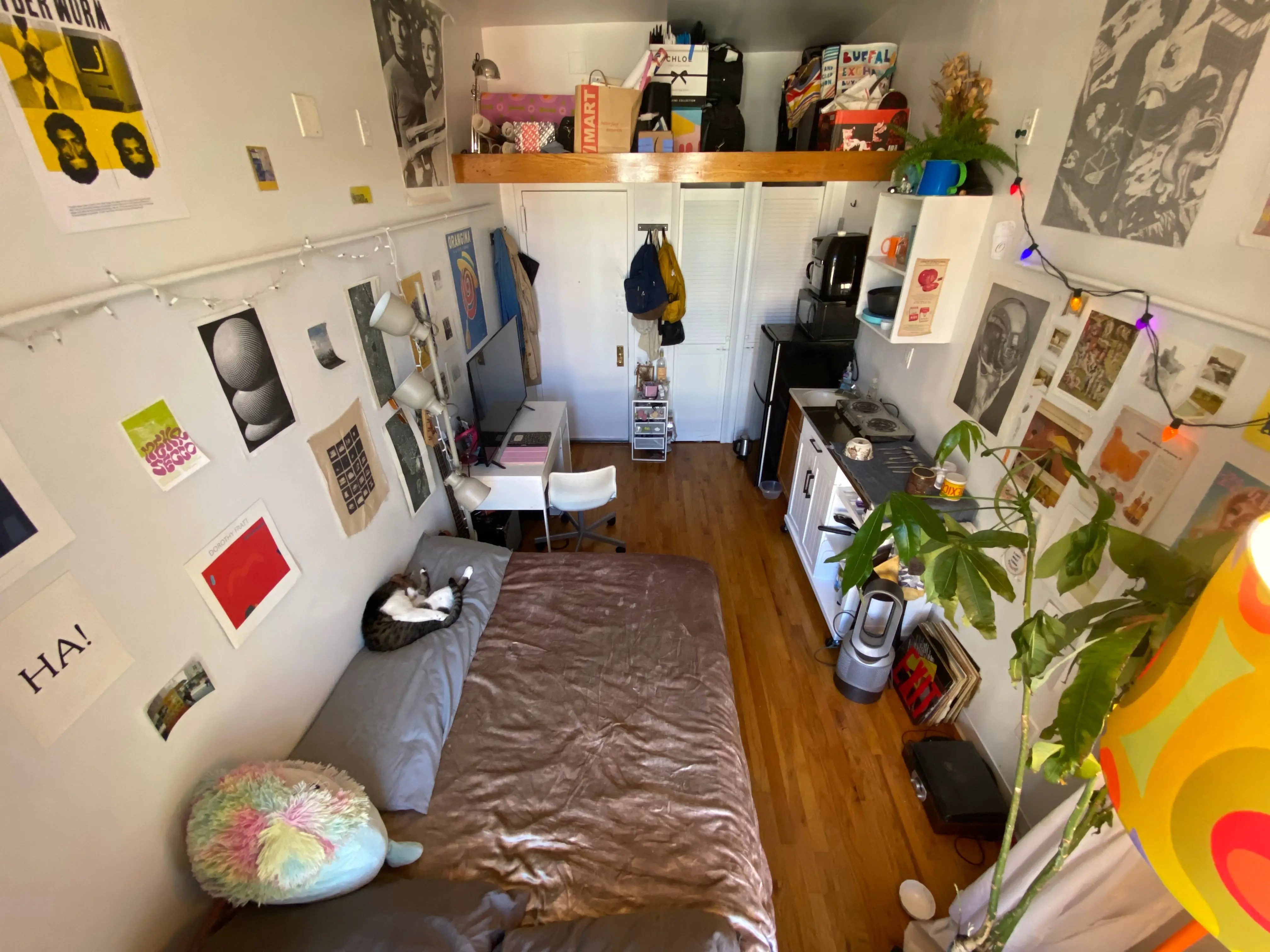 Kanpur's Biggest Shopping Mall Z Square Mall Sealed Over Rs, 59 OFF