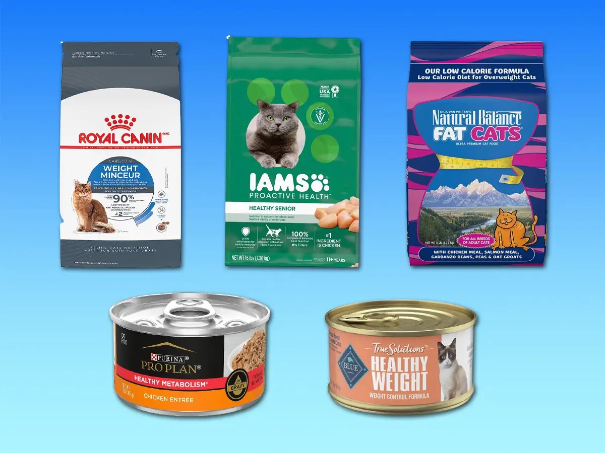 The 14 best cat foods for weight loss of 2024 15 Minute News