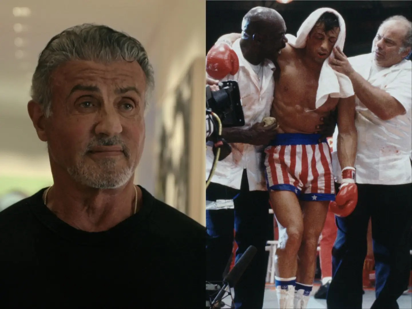 Sylvester Stallone Boxing Quotes Rocky & Creed Motivational Tribute