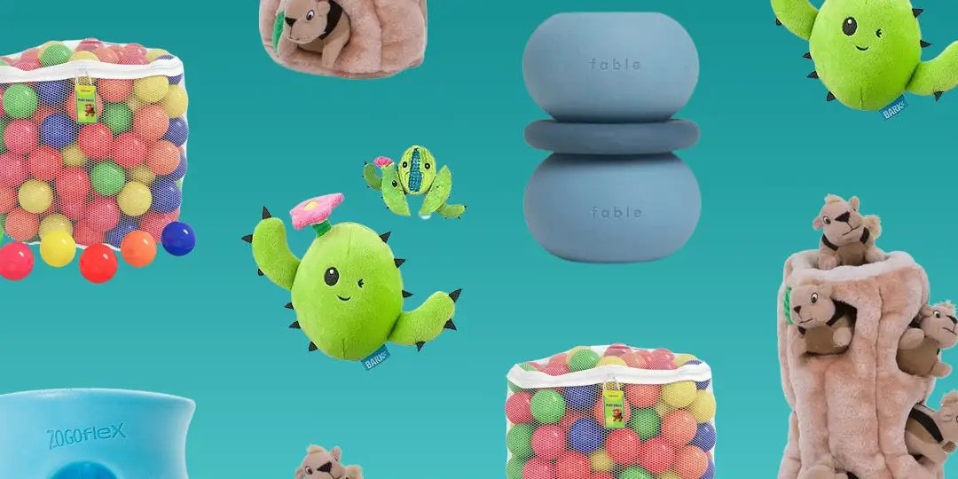 The 18 Best Dog Exercise Toys of 2023