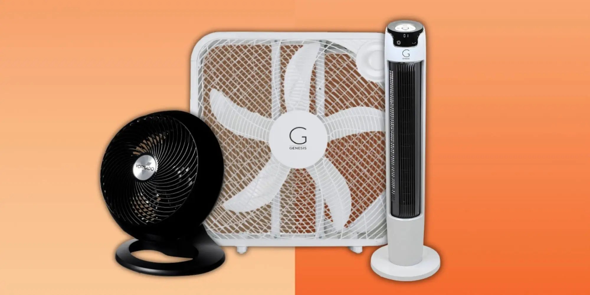 The 6 Best Fans to Keep Cool in Summer 2024