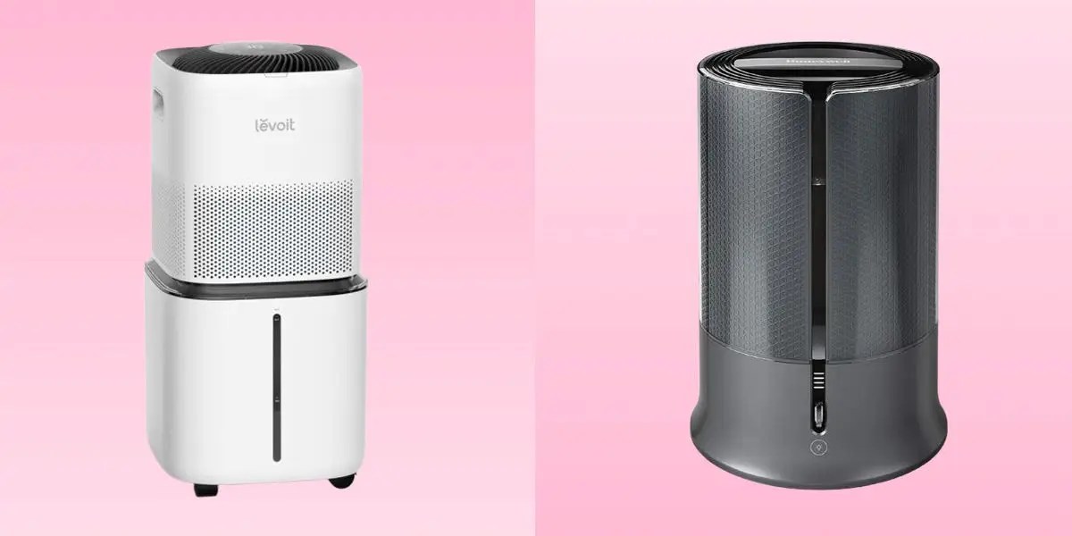The 6 Best Humidifiers, Tested and Reviewed