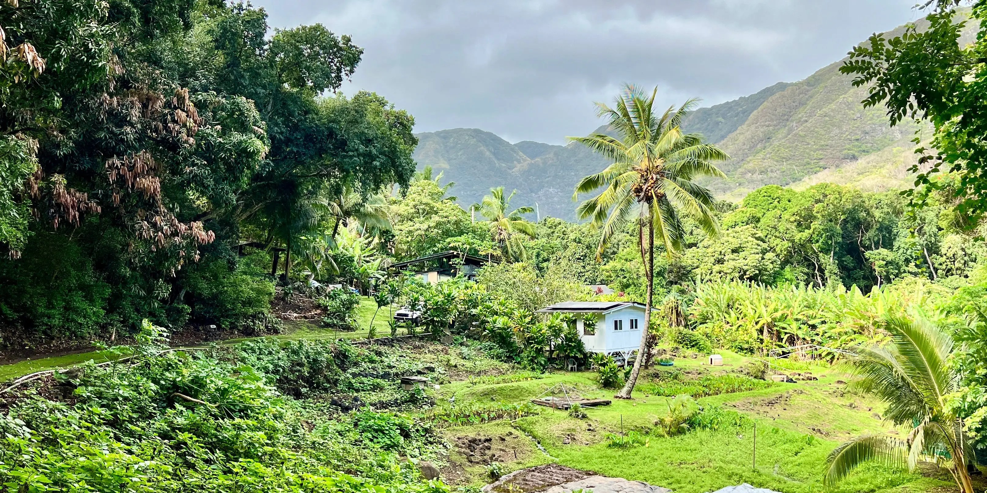 I grew up in Hawaii, but just now visited its ‘Friendly Isle.’ Here are 9 things that surprised me about my trip.