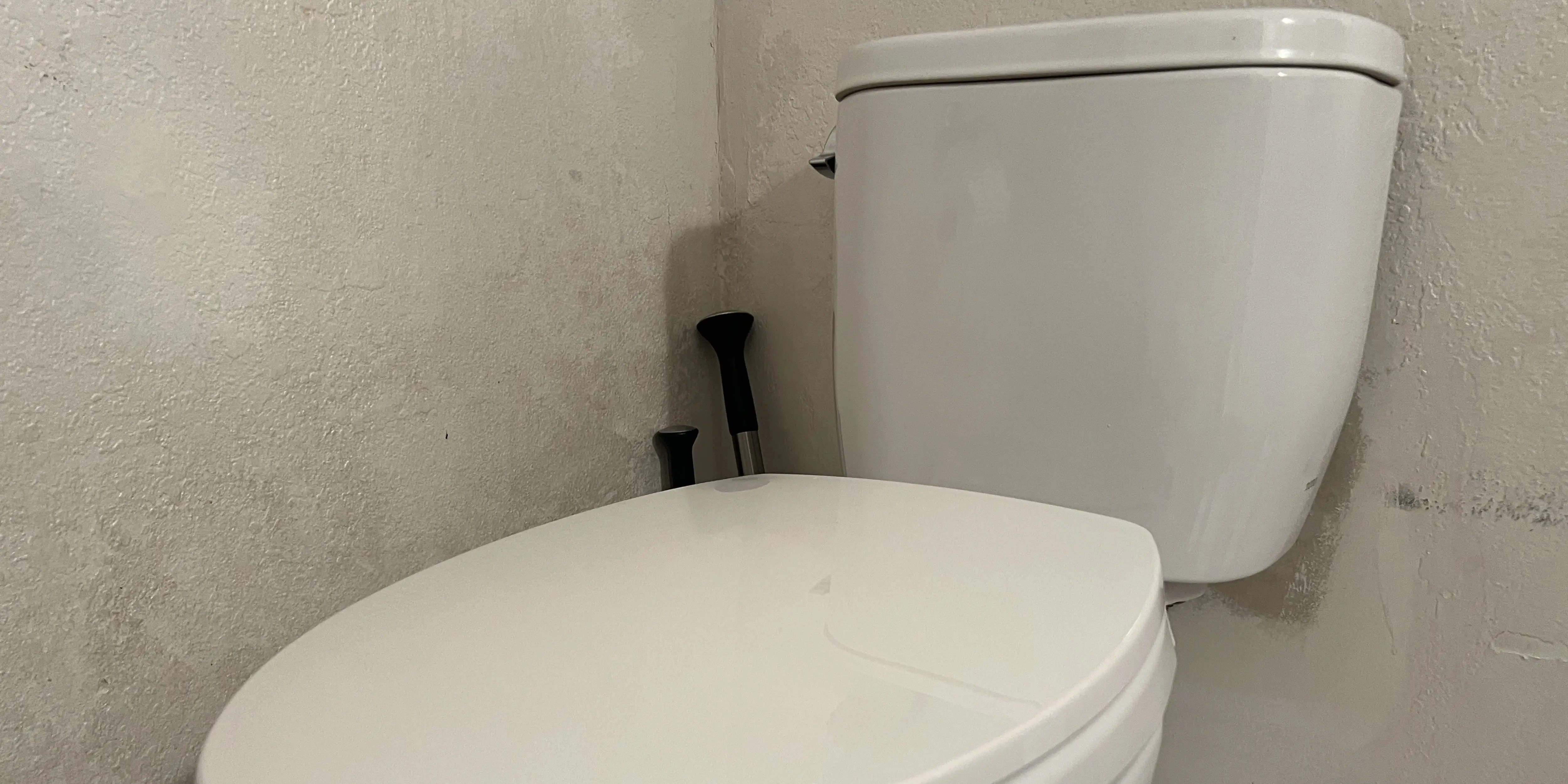 Toilet Maker and Seasoning Giant Are Japan’s Winners in the AI Boom