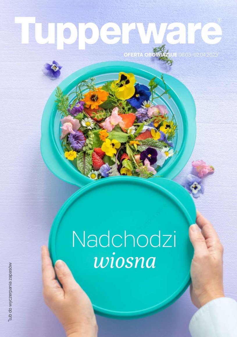 Archiwum Zestaw pojemników Tupperware Tupperware 02. 01. 2023 22