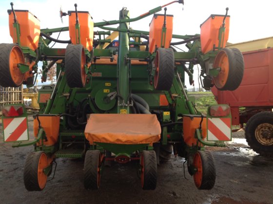 Amazon 8row corn planter in SintLaureins, Belgium