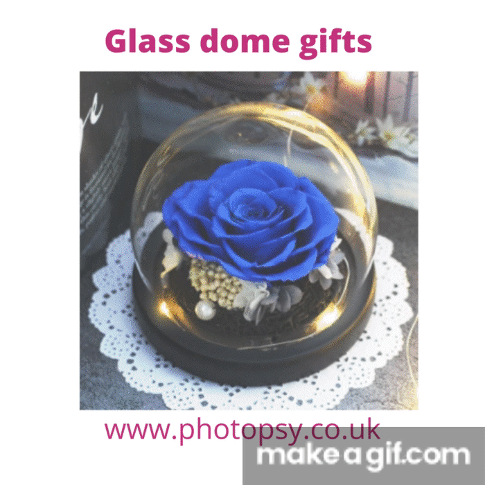 Glass dome gifts on Make a GIF