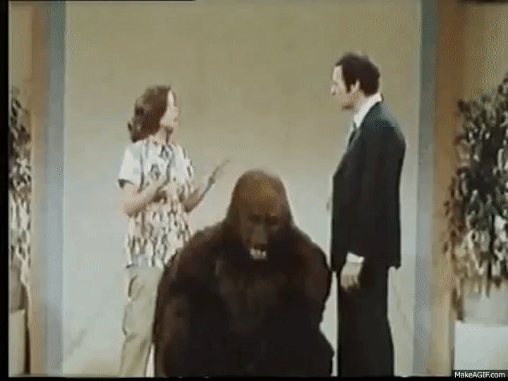 Liste 98+ Gorilla Going Crazy Gif Gratuito