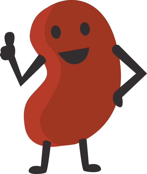 Healthy Kidneys on Make a GIF