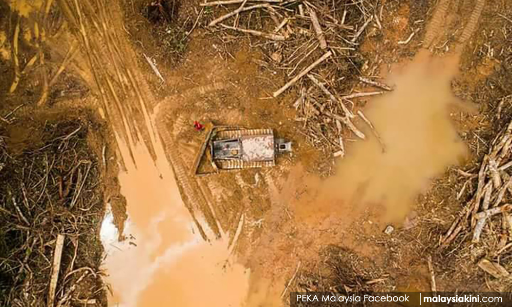 Benarkah banjir buatan pembalakan, akibat hutan musnah?