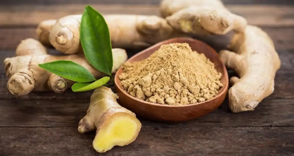 Ginger allergy symptoms and treatment. Composition of ginger