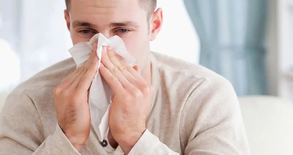 Purulent runny nose causes, signs and treatment Health 2024