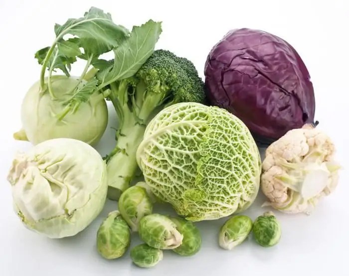 Vitamin B in fruits and vegetables. What vegetables and fruits contain