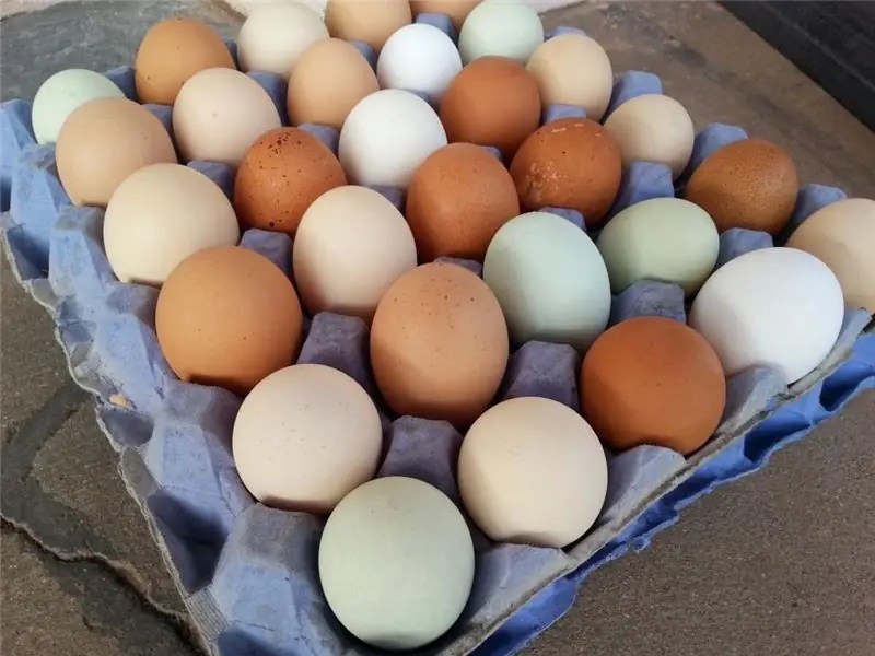 The difference between village eggs and store eggs and their benefits