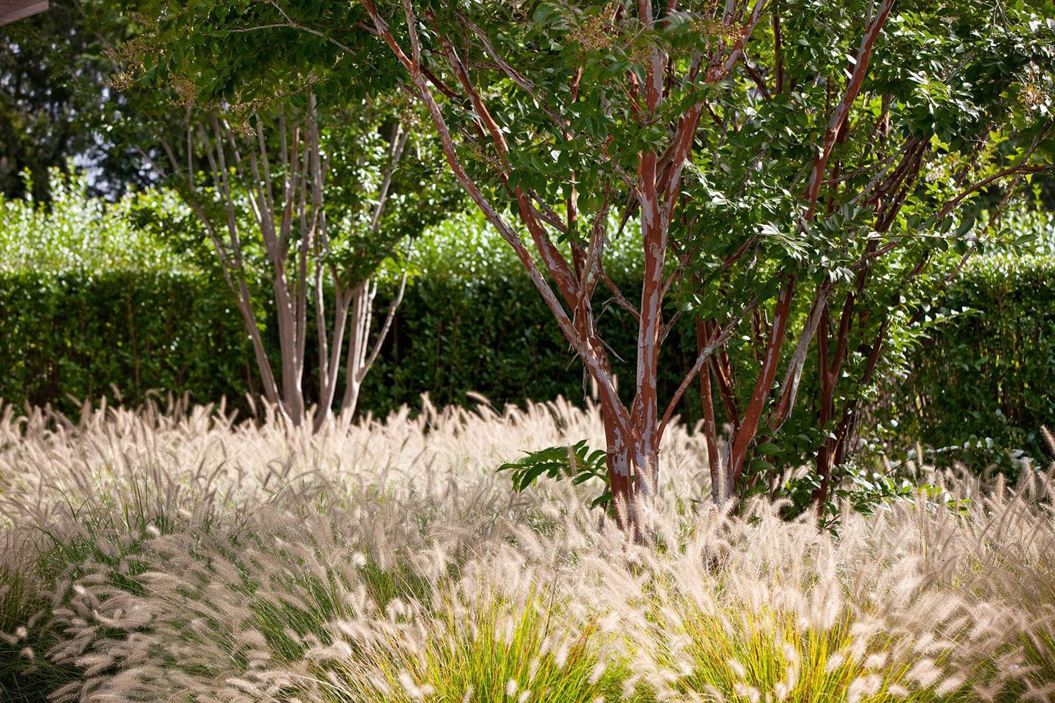 Butter Lane住宅 / LaGuardia Design Group mooool木藕设计网