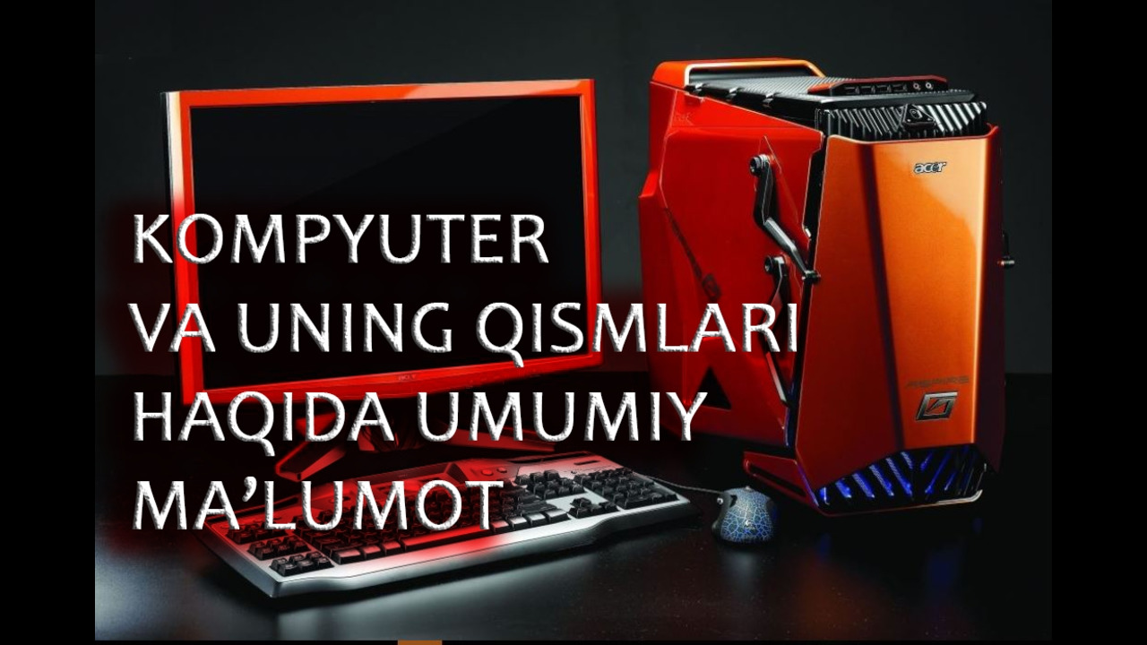 Muchalar Xaqida Malumot