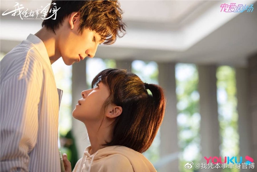 Foolish Asian Drama Life Professional Single