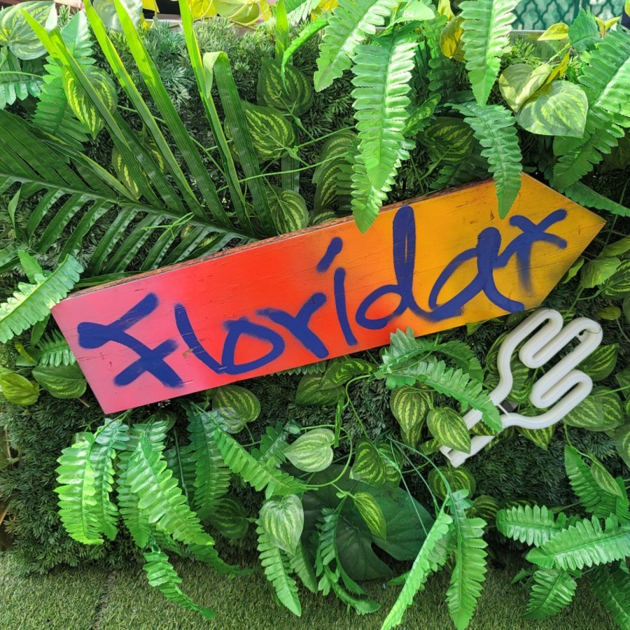 The Tasty Florida Photos MyDramaList