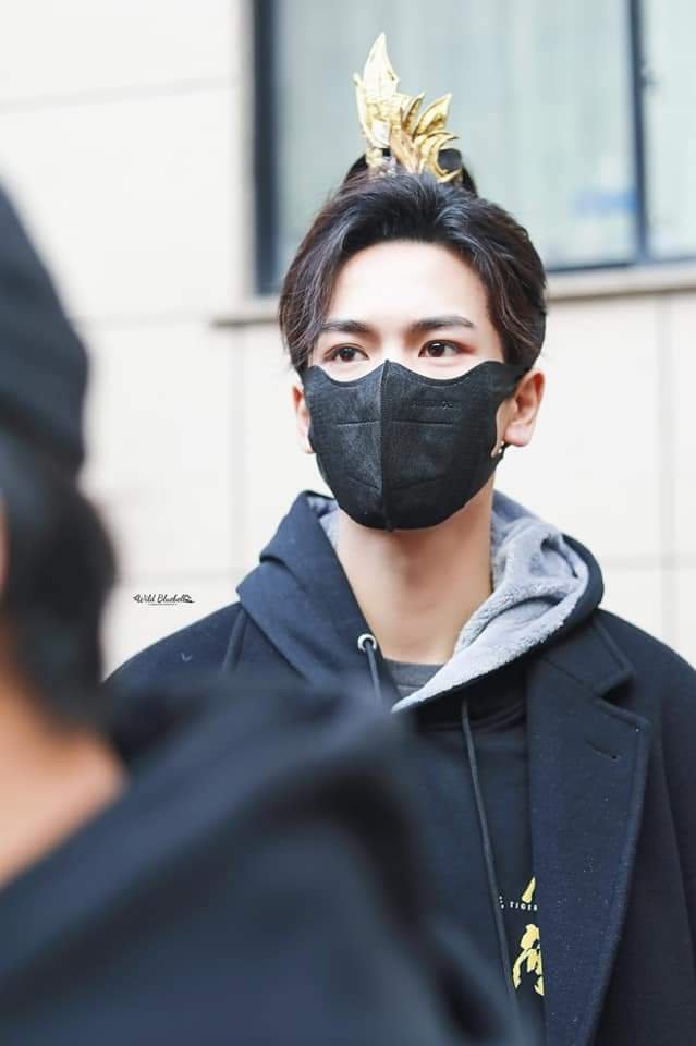 Tiger and Crane Tiger Crane 2813485 MyDramaList