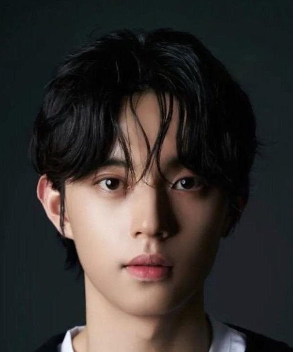 Choi Min Ho (최민호) MyDramaList