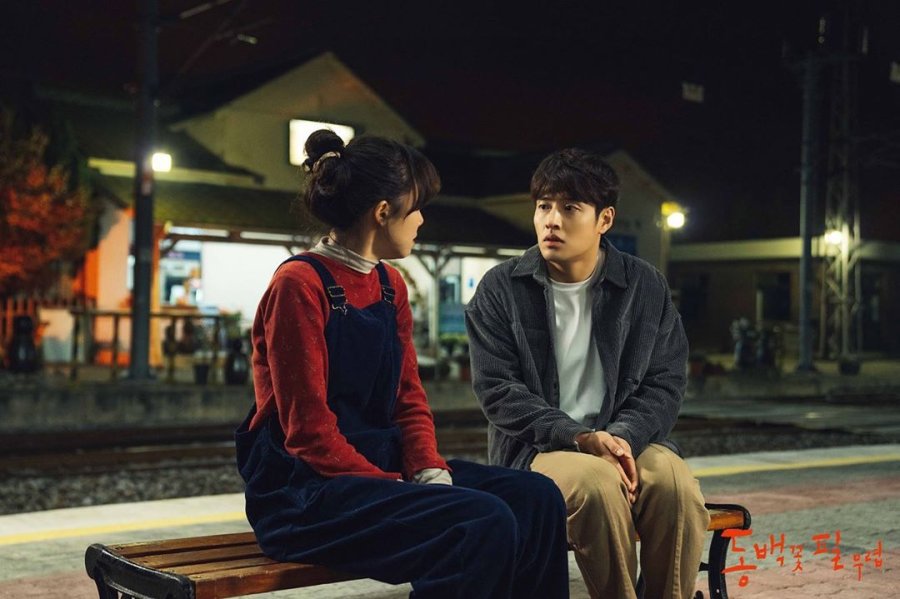 When the Camellia Blooms Photos 1034105 MyDramaList