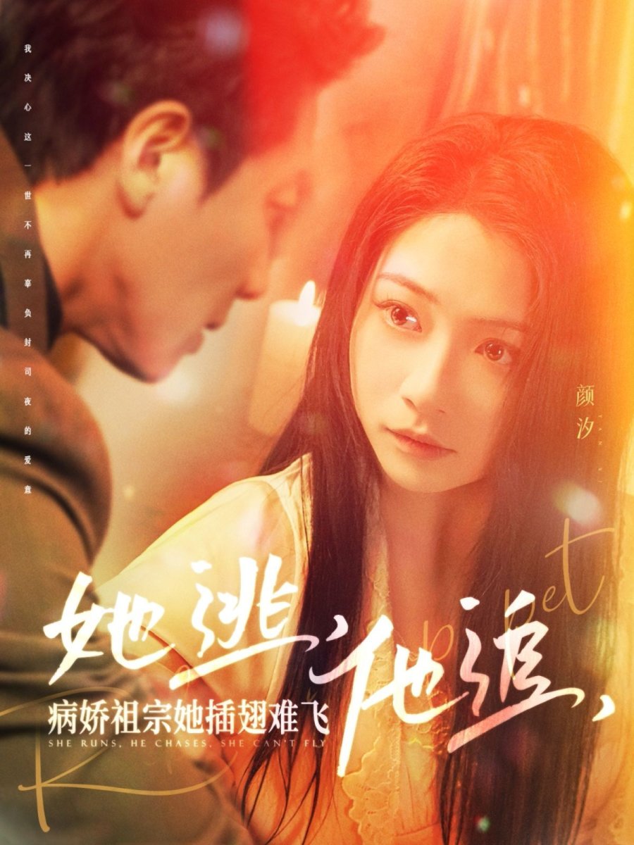 She Runs, He Chases, She Can't Fly (2025) MyDramaList