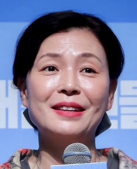 Mother-in-Law - MyDramaList