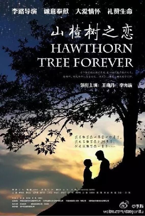 Hawthorn Tree Forever (2012) MyDramaList