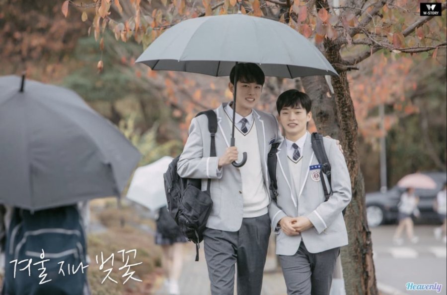 Cherry Blossoms After Winter Photos 2834659 MyDramaList