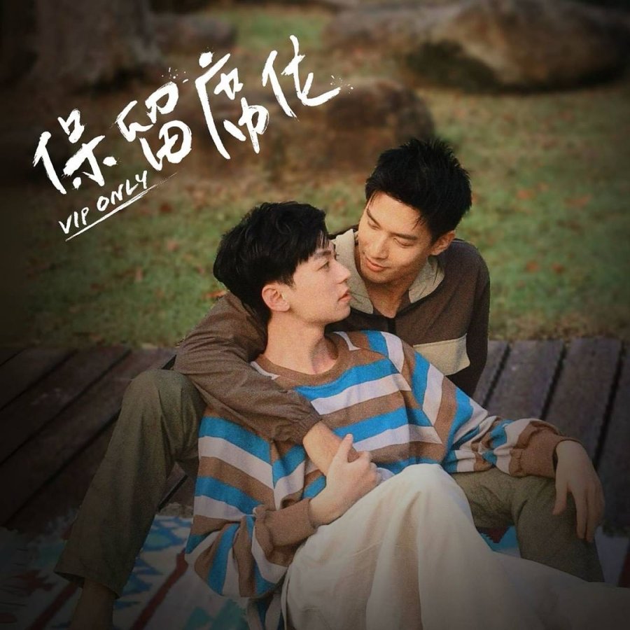 VIP Only Special (2024) MyDramaList