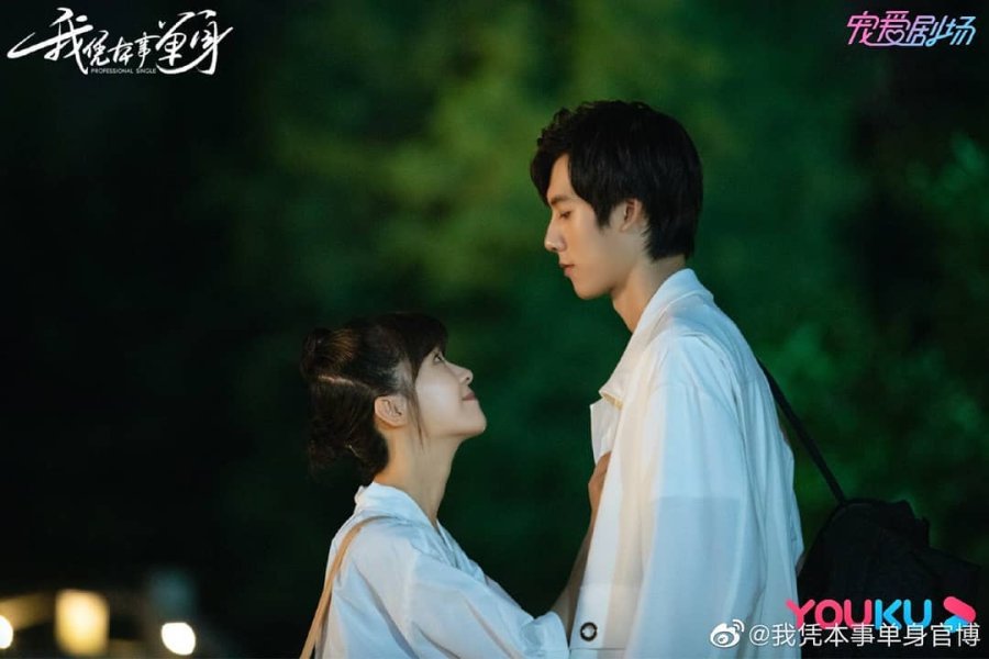 Foolish Asian Drama Life Professional Single