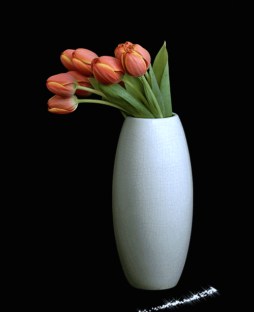 Tulips in the white vase Animated Pictures