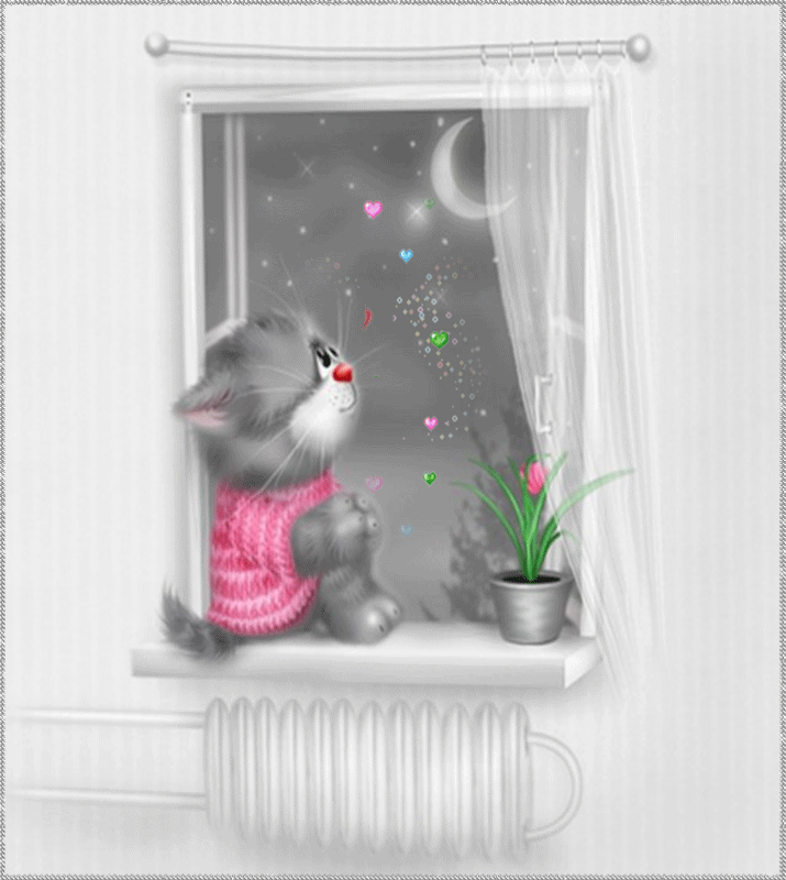 Good Night My Dear Friend! Cute Cat Bye