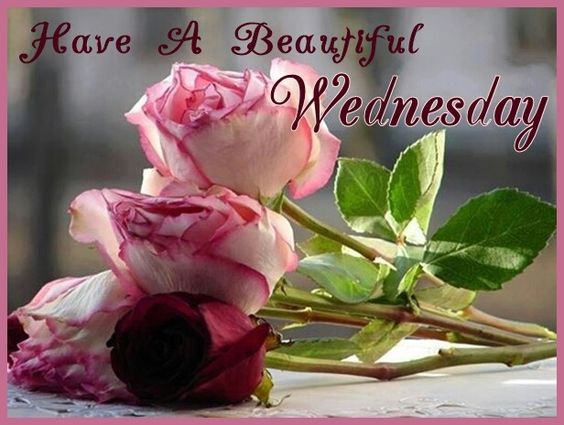Have A Beautiful Wednesday Flowers Wednesday