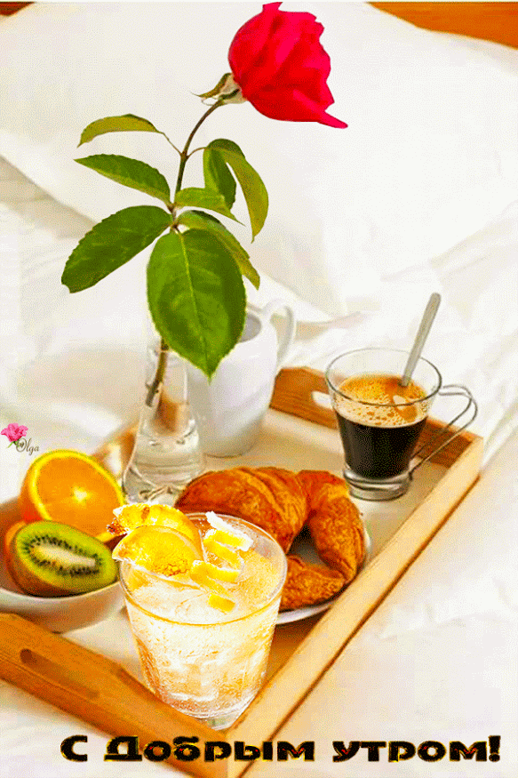 Доброе утро! (Good Morning in Russian) Hello!