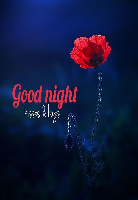 Good Night Kisses & Hugs Bye